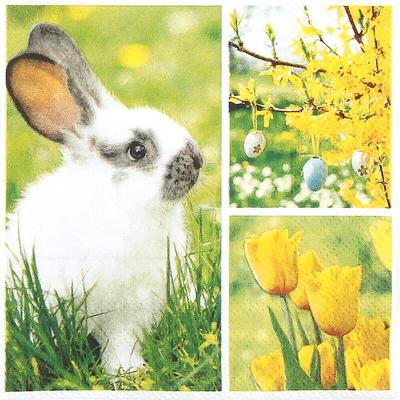 Home Fashion, Easter Collage, Cocktail-Servietten aufgefaltetes Maß 25 cm x 25 cm, im Viertelfalz, 20 Stück pro Pack