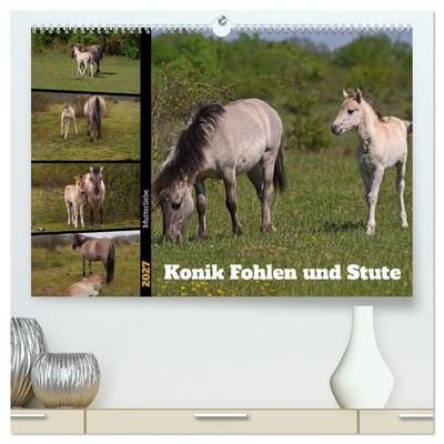 Mutterliebe - Konik Fohlen und Stute (hochwertiger Premium Wandkalender 2027 DIN A2 quer), Kunstdruck in Hochglanz