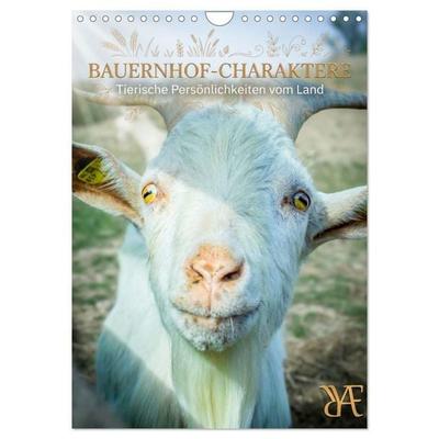 Bauernhof-Charaktere - Tierische Persönlichkeiten vom Land (Wandkalender 2027 DIN A4 hoch), CALVENDO Monatskalender