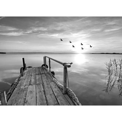 Fototapete PAPERMOON "Steg am Wasser Schwarz & Weiß", schwarz (schwarz, weiß), B:3,5m L:2,6m, Vlies, Tapeten