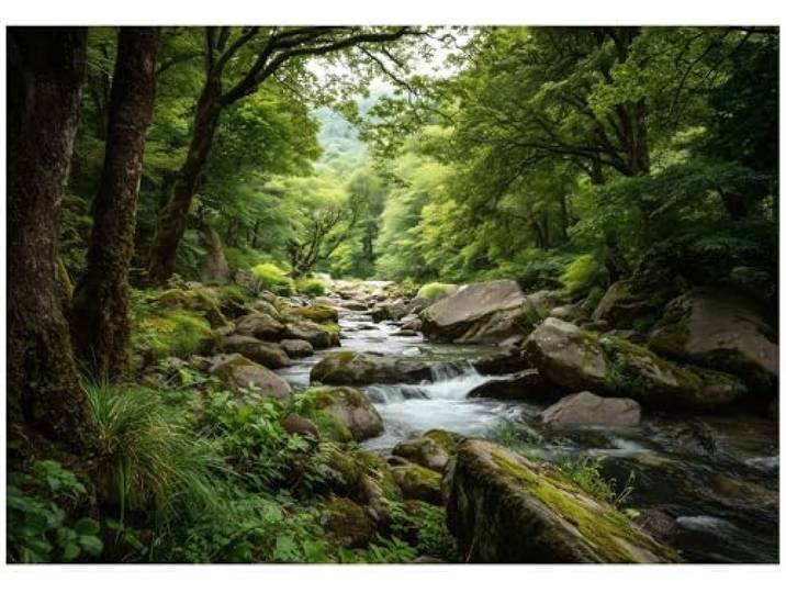 WallArena Vlies Fototapete, Wald, 150x105cm