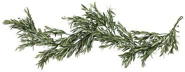 Silver Berry Olive Garland - Ballard Designs