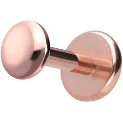 Titan Labret mit Push Fit DISC