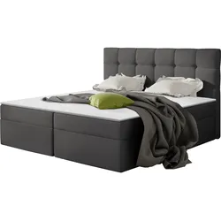 BOXBETT Nele - H3