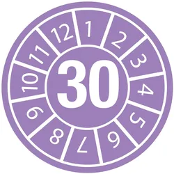 Brady, Sicherheitskennzeichnung, DATE INSPECTION LBLS B-500 30 - DIA 25, DATE 30-DIA 25 B-500 (250 Etiketten)