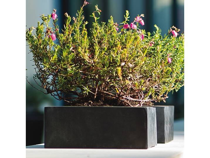 Outdoor Pflanztopf Pagpu 18 x 18cm 18 x 18 cm