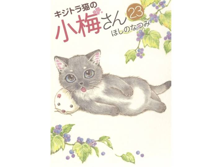 Plum, un amour de chat Tome 23 (Manga)