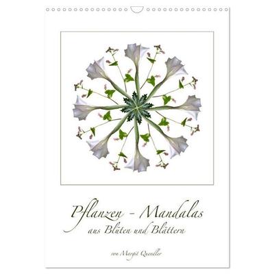 Pflanzen - Mandalas aus Blüten und Blättern (Wandkalender 2026 DIN A3 hoch), CALVENDO Monatskalender