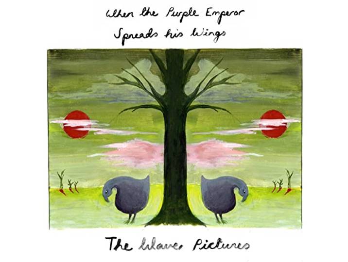 When the Purple Emperor Spreads His