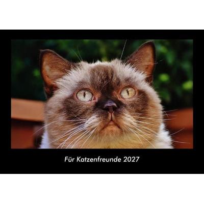 Für Katzenfreunde 2027 Fotokalender DIN A3