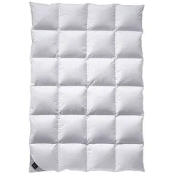 Billerbeck Nena Daunendecke Kassette VI - 155x220cm