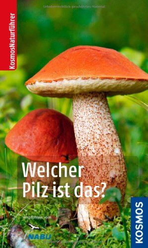 Tanja Böhning - Welcher Pilz ist das? (Kosmos-Naturführer) - Preis vom 11.10.2026 15:43:13 h
