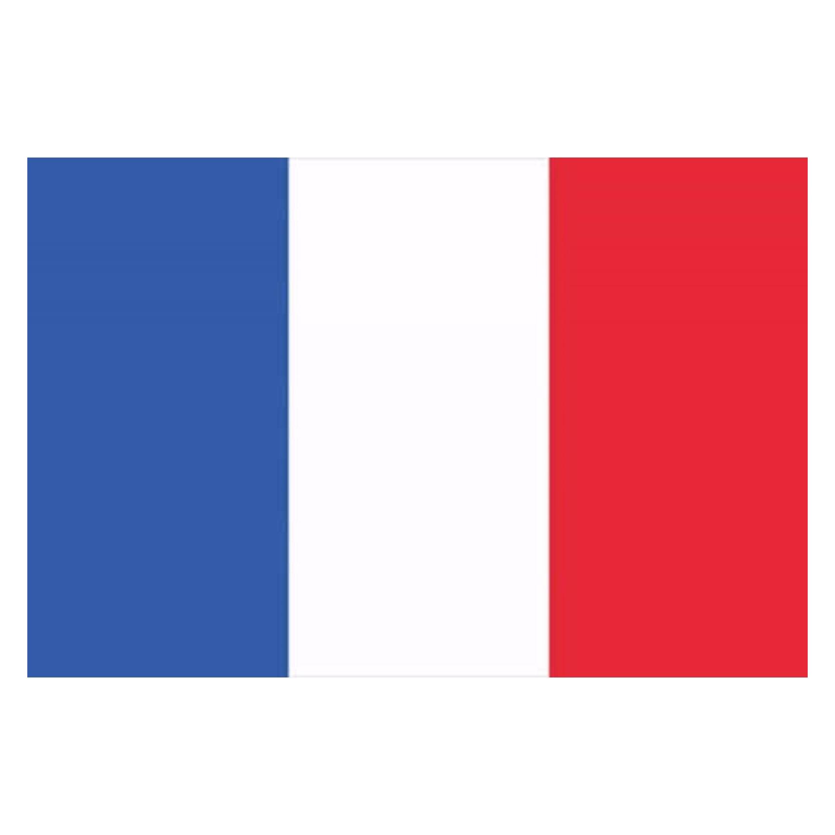 Europalms Flagge, Frankreich, 600x360cm (600 x 360 cm) (83300520)