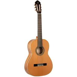 Ortega R20GRG - Konzertgitarre