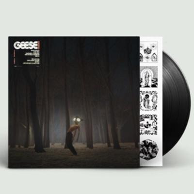 Projector - Geese, Vinyl