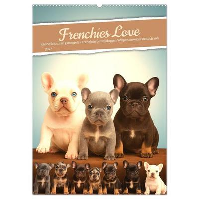 Frenchies Love – Kleine Schnuten ganz groß - Französische Bulldoggen Welpen unwiderstehlich süß (Wandkalender 2027 DIN A2 hoch), CALVENDO