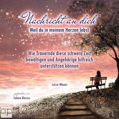 Nachricht an dich - Luise Wauer, Audio, 9783987475023