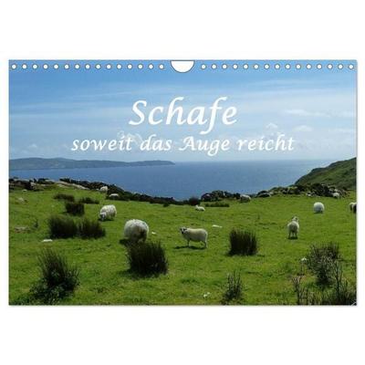 Schafe - soweit das Auge reicht (Wandkalender 2027 DIN A4 quer), CALVENDO Monatskalender