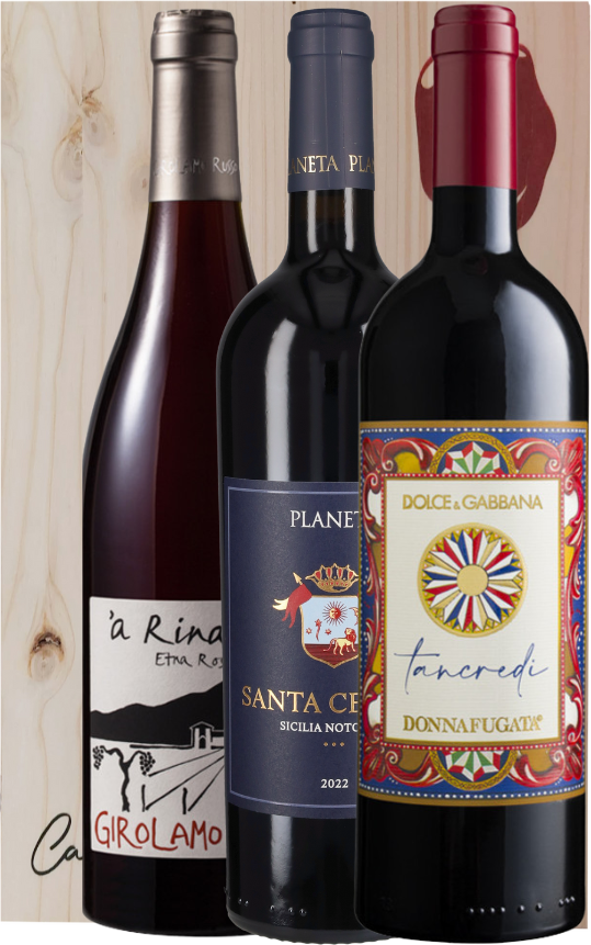 CallMeWine Box Reds Sicily (3bt)