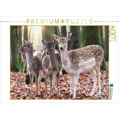 CALVENDO Puzzle Damwild 1000 Teile Puzzle quer | 1000 Teile Lege-Größe 64 × 48 cm Foto-Puzzle für glückliche Stunden