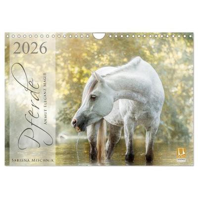 Pferde - Anmut, Eleganz, Magie (Wandkalender 2026 DIN A4 quer), CALVENDO Monatskalender