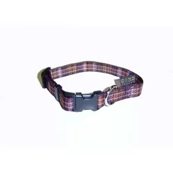 Arka Chili (Hund, Spazieren), Halsband + Leine
