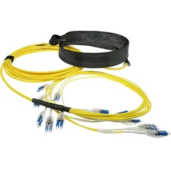 ACT 20 meter Singlemode 9/125 OS2 Preterm fiber cable 24F LC Polarity Twist (20 m), Netzwerkkabel