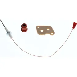 Sieger Ionisationselektrode 7100238 mit Kabel und Stecker
