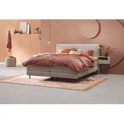 Boxspringbett Home 105