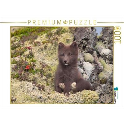 CALVENDO Puzzle Zeigt her eure Füße | 1000 Teile Lege-Größe 64x48cm Foto-Puzzle für glückliche Stunden
