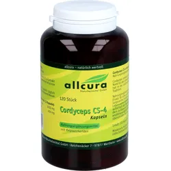 Cordyceps Cs-4 Extrakt Kapseln 120 ST