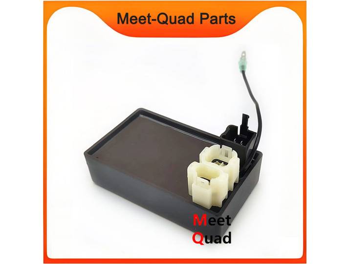 Nouvelle ECU 925842 pour TGB ATV Blade 500 PM500 Pièces CDI Plug and Play