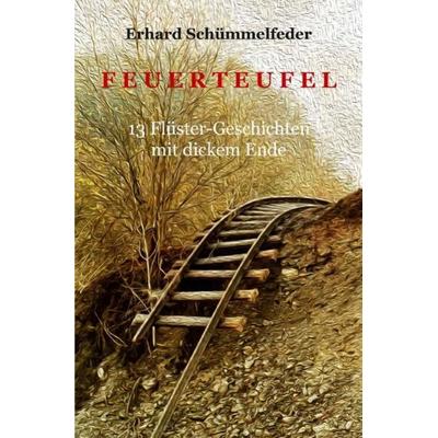 Feuerteufel, Taschenbuch von Erhard Schümmelfeder, Epubli, 978-3-7565-3052-6