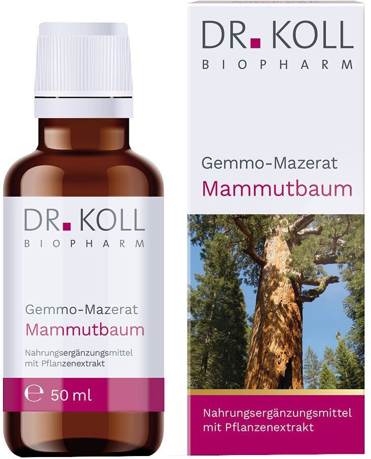 Dr. Koll Knospenmazerate Gemmomazerat Mammutbaum Bio 50 ml Tropfen
