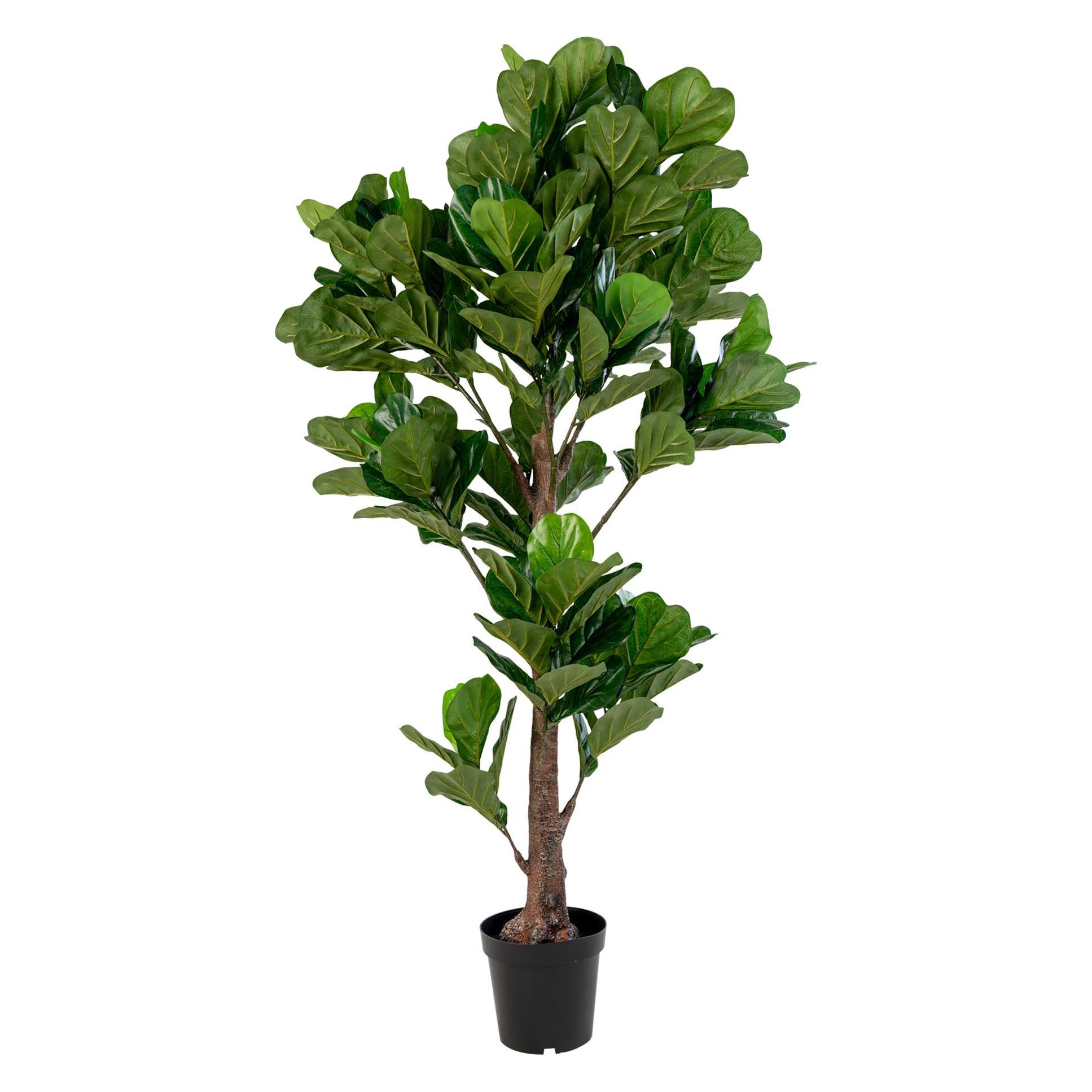 House Nordic Fiddle (190 cm) (9501050)