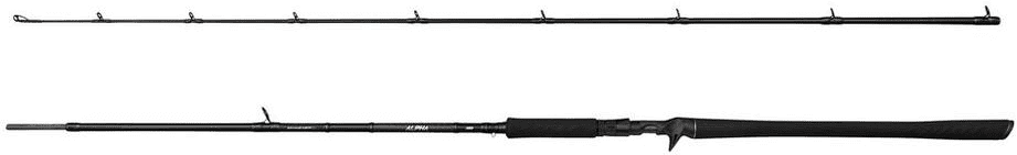Savage Gear Alpha SG2 Monster Spinnspö (Modell: 1620545 - 35-100 g / 2.21 m)