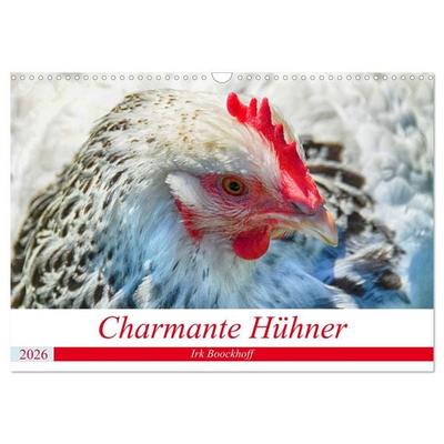 Charmante Hühner (Wandkalender 2026 DIN A3 quer), CALVENDO Monatskalender