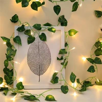 Uplift Treasures Battery Operated Ivy Vine String Lights green Dill 5 M 50 Led (battery)