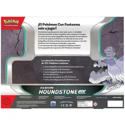 Pokémon Spanish Pokemon Houndstone collectible card game box (Spanisch, Box Set & Collection)