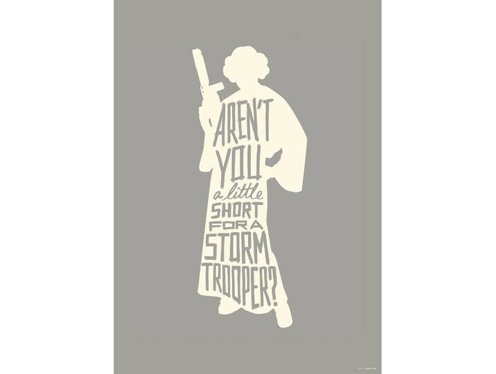 Bild KOMAR Star Wars Silhouette Quotes Leia , bunt (farbe bild(er): bunt), B:50cm H:70cm, Holz, Papier, Bilder, Bild, Wandbild zur Dekoration im Kinderzimmer - ohne Rahmen