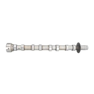 AE Nockenwelle FIAT,PEUGEOT,CITROËN CAM975 1692283,MN982333,0801FZ C2S46781,XR858319,9670585280,LR021914,0801E0,6G9Q6A268AC,MN928133,0801EX,9685270588