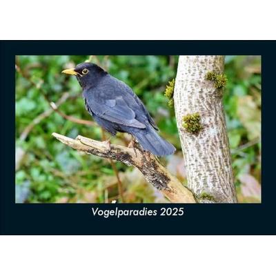 Vogelparadies 2025 Fotokalender DIN A5