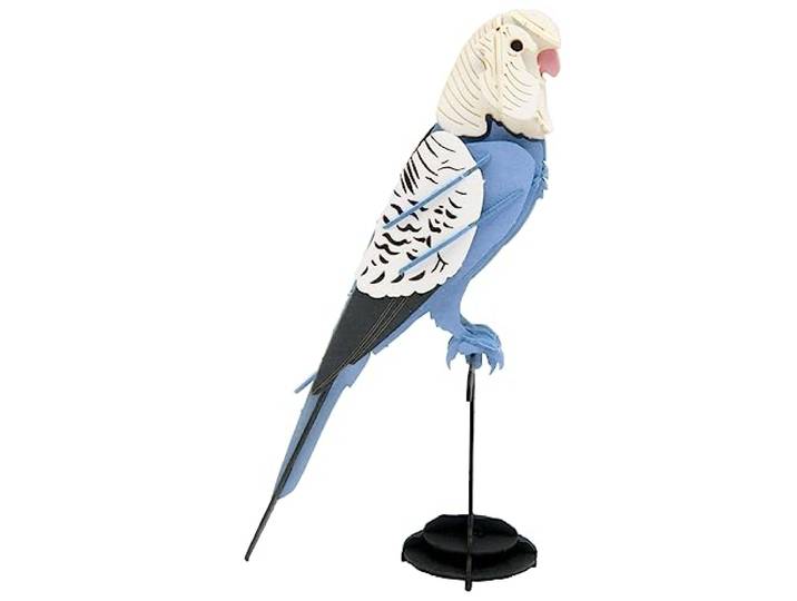 Fridolin 3D-papiermodel - parkieten