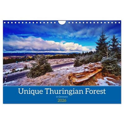 Unique Thuringian Forest (Wall Calendar 2026 DIN A4 landscape), CALVENDO 12 Month Wall Calendar