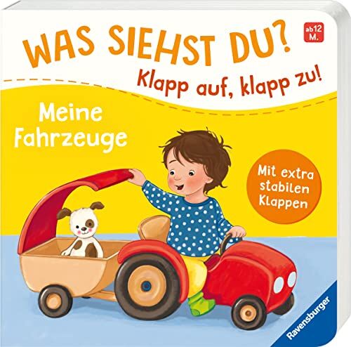 Sandra Grimm - Was siehst du? Klapp auf, klapp zu! Meine Fahrzeuge - Preis vom 19.10.2026 19:33:35 h