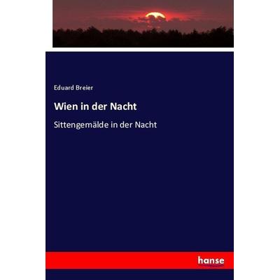 Wien in der Nacht, Taschenbuch von Eduard Breier, Hansebooks, 978-3-7446-3093-1