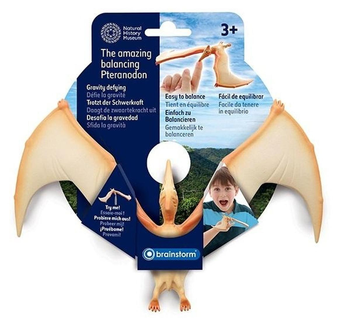 Evenwichtige Pteranodon educatief speelgoed voor kinderen