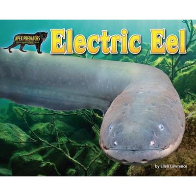 Electric Eel, Taschenbuch von Ellen Lawrence, Bearport Publishing by Flutterbee, 978-1-64280-746-2