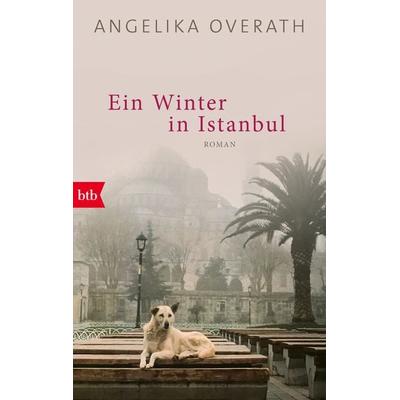 Ein Winter in Istanbul, Taschenbuch von Angelika Overath, btb, 978-3-442-77322-0