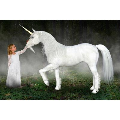 Fototapete PAPERMOON "Einhorn Hoffnung Liebe Frieden", bunt, B:4m L:2,6m, Vlies, Tapeten